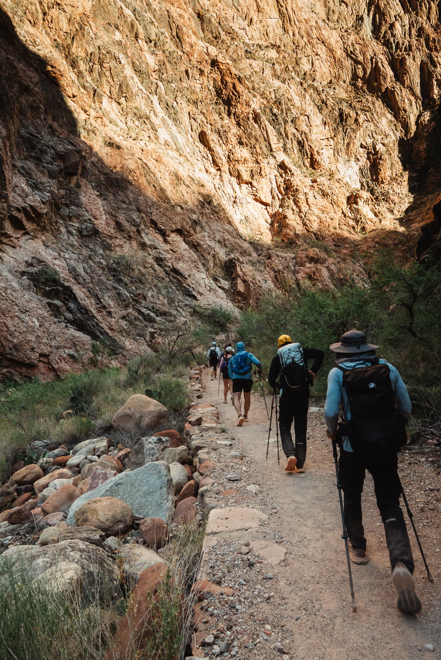 A line of hikers with poles moving along the inner canyon trail