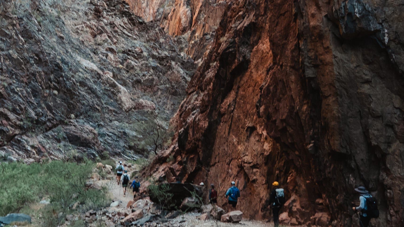 A line of hikers walking beneath towering inner canyon walls