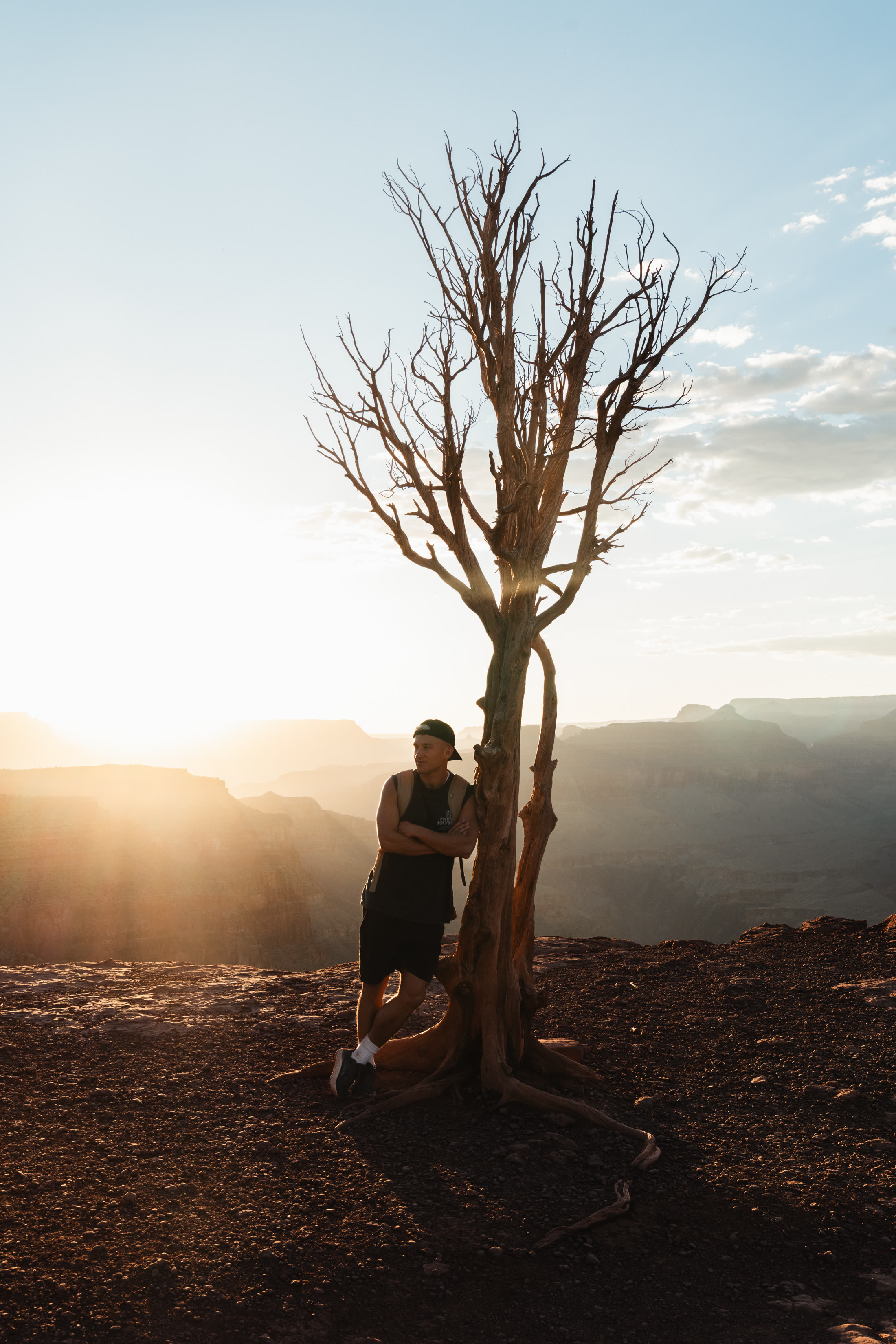 An athlete resting against a bare tree on the rim at sunset