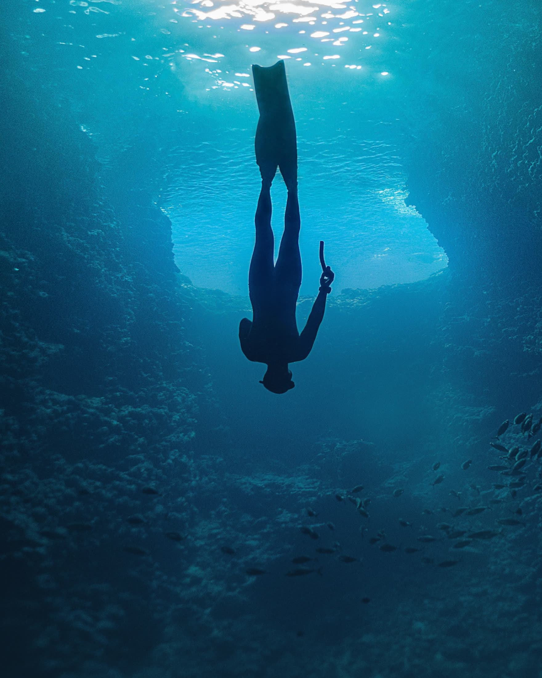A freediver descending head first into deep blue water