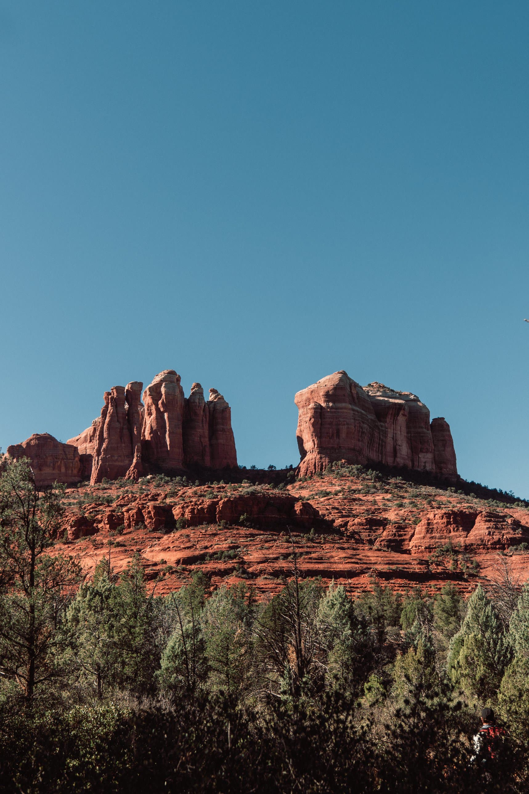The red sandstone spires of Cathedral Rock above juniper and pine