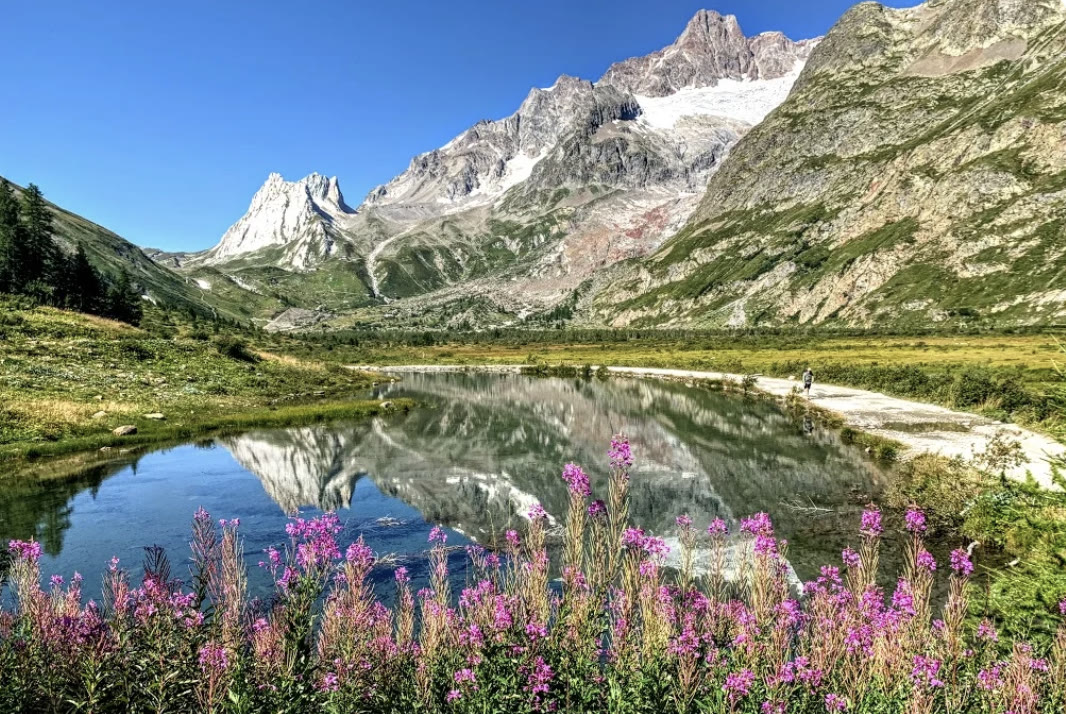Peaks reflected in an alpine lake behind wildflowers in Val Veny